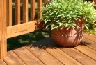 Mount Bindangopatios-4.jpg; ?>