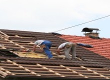 Kwikfynd Roof Conversions
mountbindango